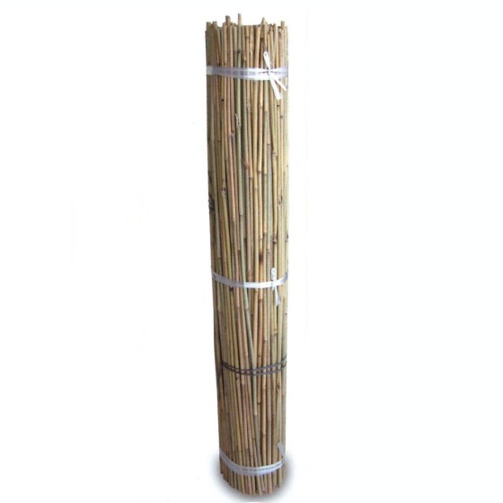 Tutor Bambú 1,2 fard 500u
