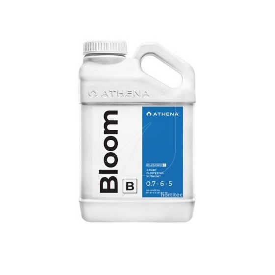 Bloom B 0,94L Athena